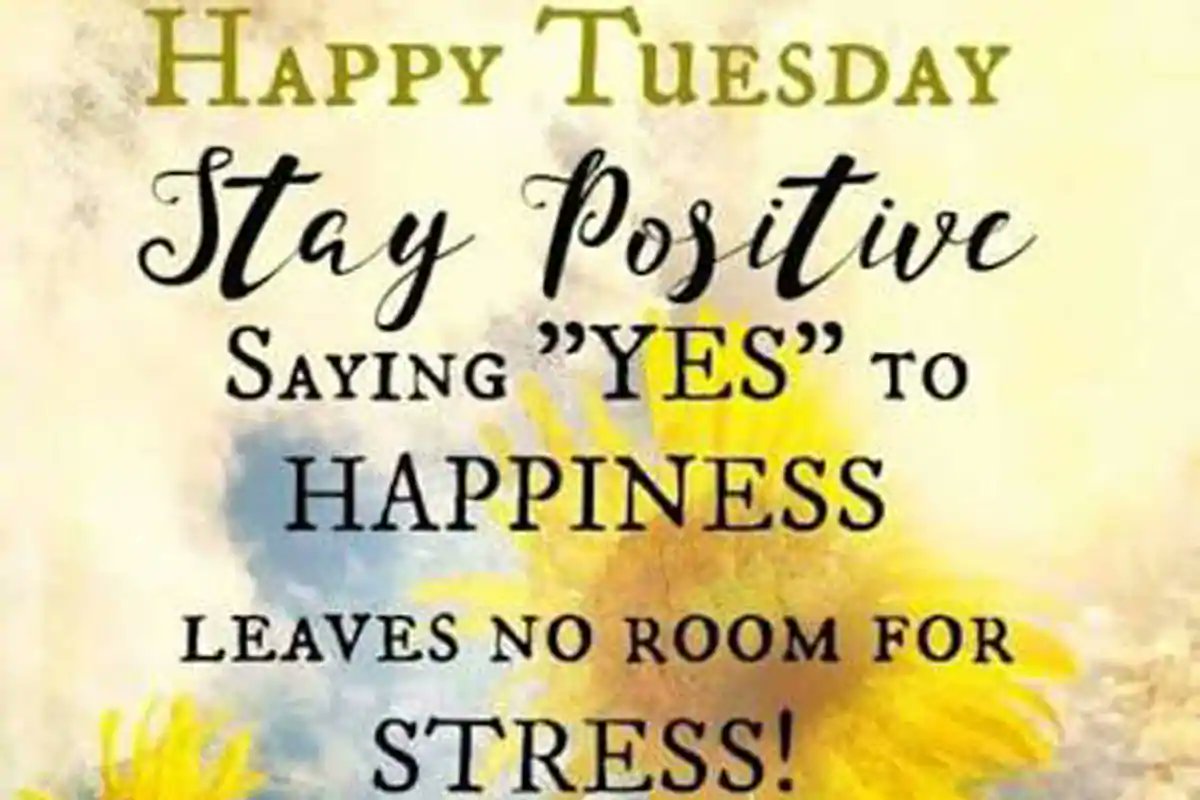 WImagineLaser's tweet photo. Happy Tuesday! #imaginelaserworks  #MotivationalQuotes https://t.co/lPlbAygo5O