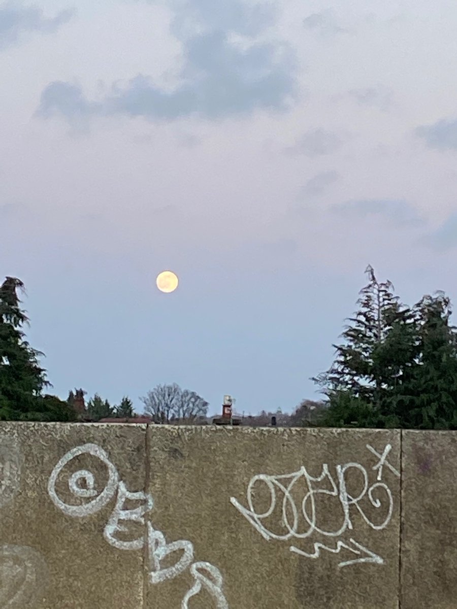 Account728's tweet image. Moon go brrr 🌜