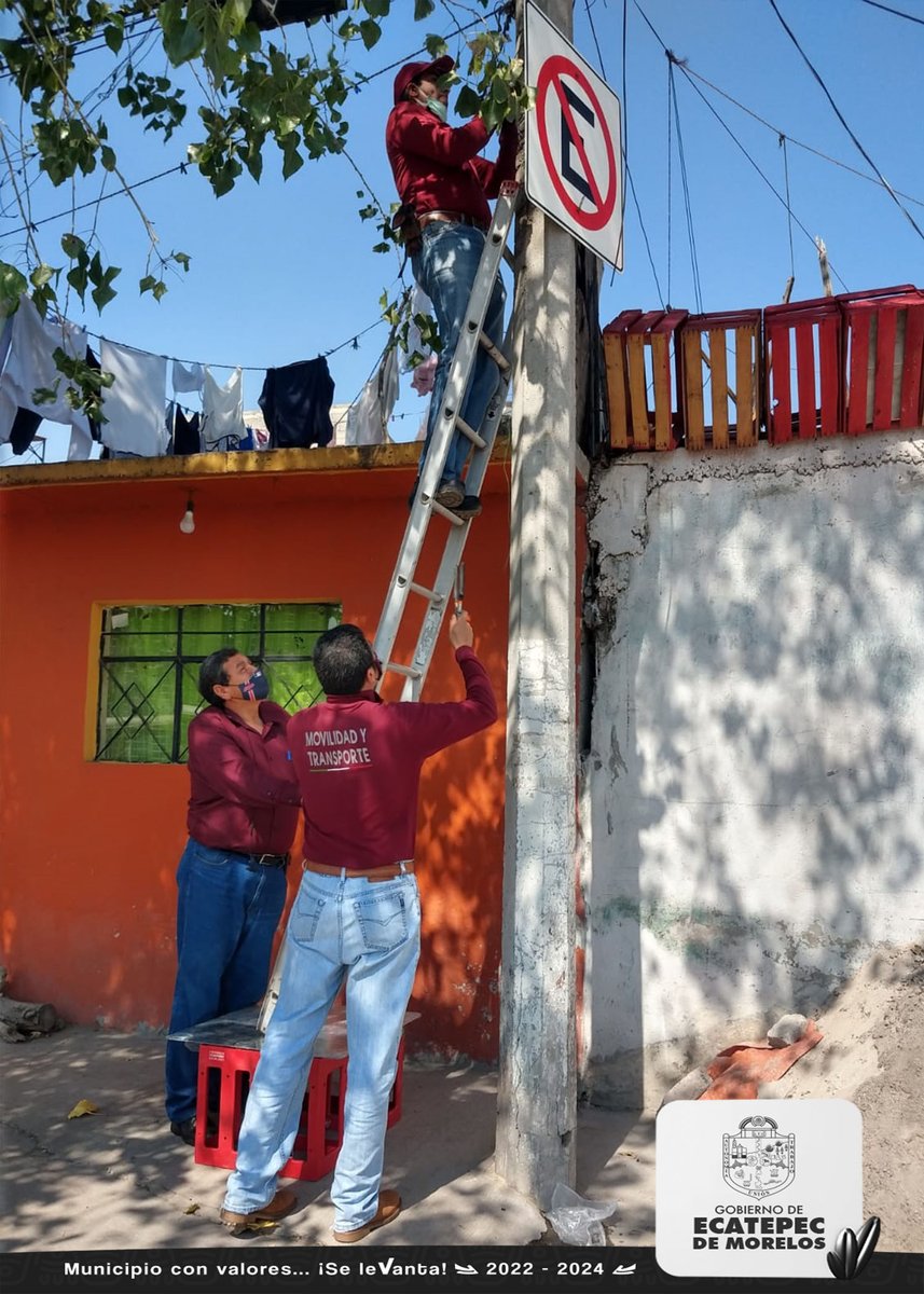 Dirección de Movilidad y Transporte Ecatepec tweet media