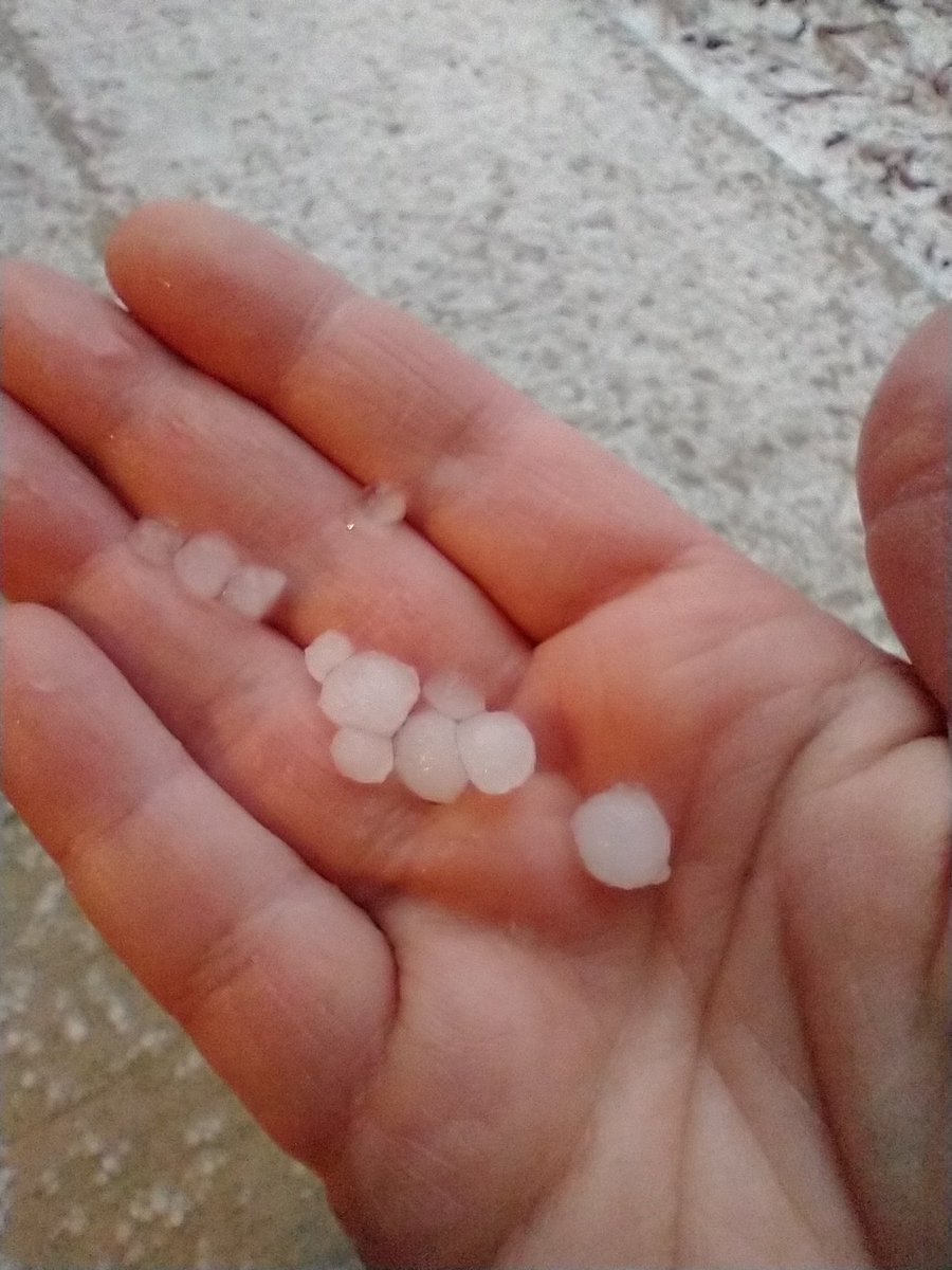 dblhelix13's tweet photo. @NWSChicago Pea sized hail at around 6:25am on 2/22/22 in northern Arlington Heights https://t.co/ZLtY0FgaAJ