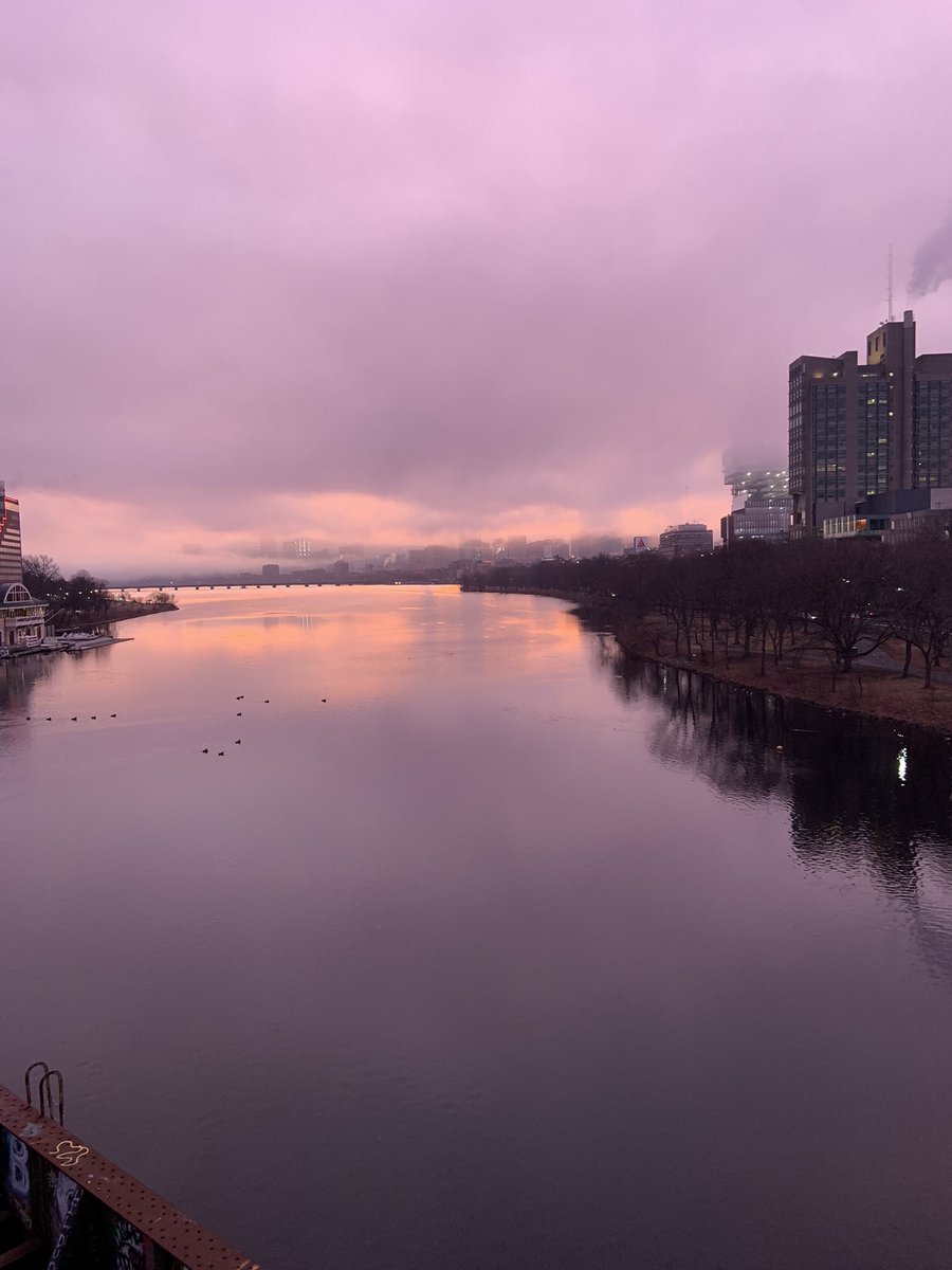 Also the fog this morning! Phone can't do it justice