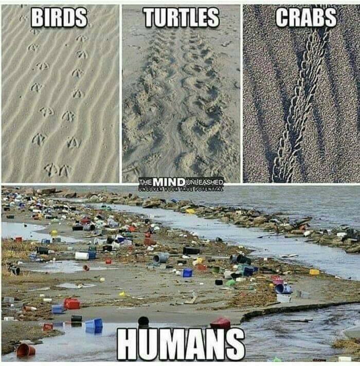 Footprints 👣         🤔