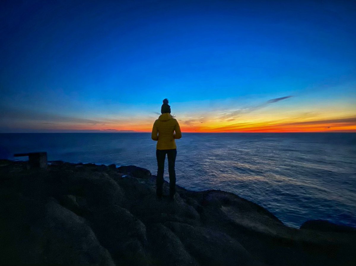 Carolyn Murray tweet media