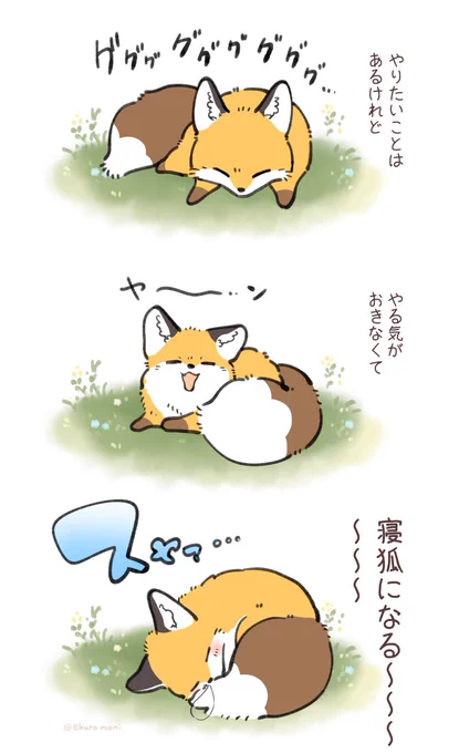 寝狐の日🦊💤 