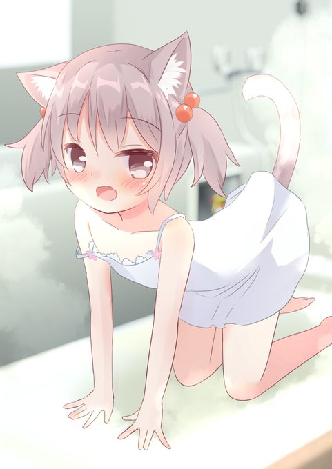 にゃんこ
#猫の日 