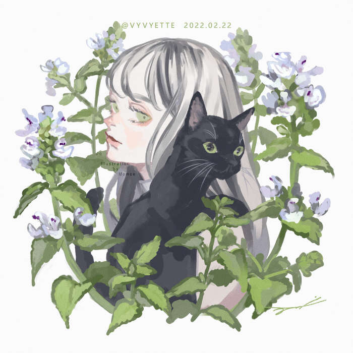 1girl flower cat black cat long hair green eyes white background  illustration images