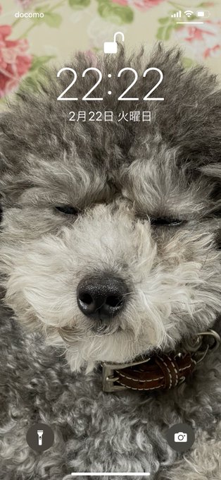 撮ったー!2022年2月22日22時22分! 