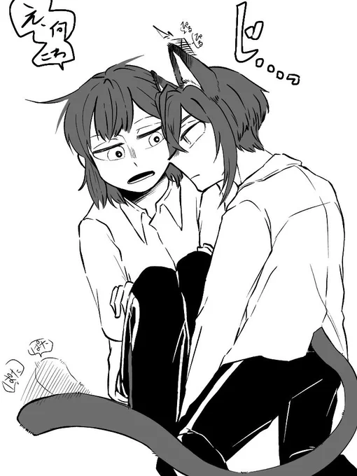 リド監🐈 