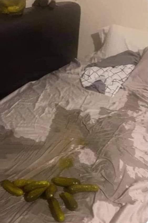 Kieran (follow me @Toadally on 🦋) tweet media