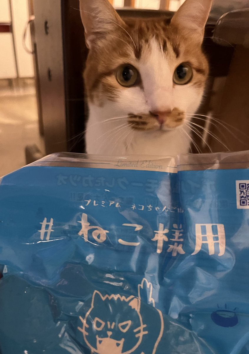 通販 パープル猫様専用 asakusa.sub.jp