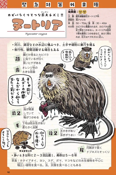 戦争になると生物多様性の保全ができなくなるから戦争はだめ…

そういえば、土手・堤防を穴ぼこだらけにするヌートリア(緊急対策外来種)は軍服の毛皮用に導入されたのが、終戦で需要が減り放棄されたのが野生化したんだった。やはり、戦争は良くない。戦争、ダメ絶対。 https://t.co/FDUySc74oB 