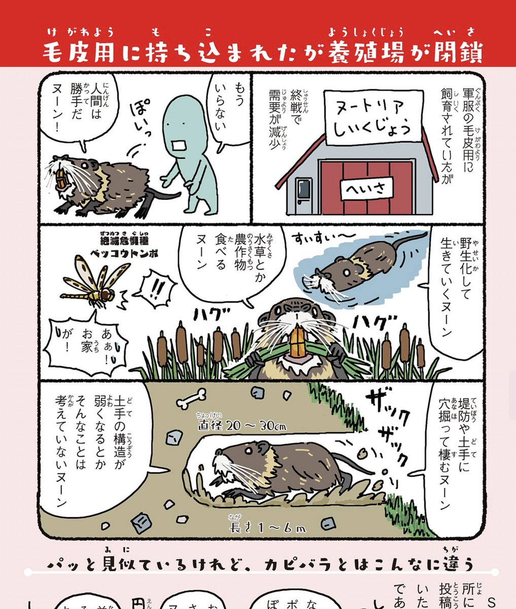 戦争になると生物多様性の保全ができなくなるから戦争はだめ…

そういえば、土手・堤防を穴ぼこだらけにするヌートリア(緊急対策外来種)は軍服の毛皮用に導入されたのが、終戦で需要が減り放棄されたのが野生化したんだった。やはり、戦争は良くない。戦争、ダメ絶対。 https://t.co/FDUySc74oB 