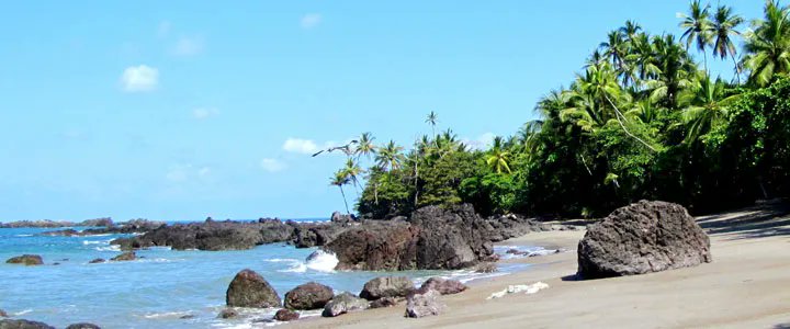 Destino_Mundo's tweet photo. On s'envole sur les plus belles plages du Costa Rica pour une dose de sable blanc sous le soleil #voyage https://t.co/oYqC3umKa6 https://t.co/NUpd1rwt2L