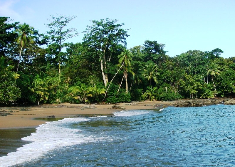 Destino_Mundo's tweet photo. On s'envole sur les plus belles plages du Costa Rica pour une dose de sable blanc sous le soleil #voyage https://t.co/oYqC3umKa6 https://t.co/NUpd1rwt2L