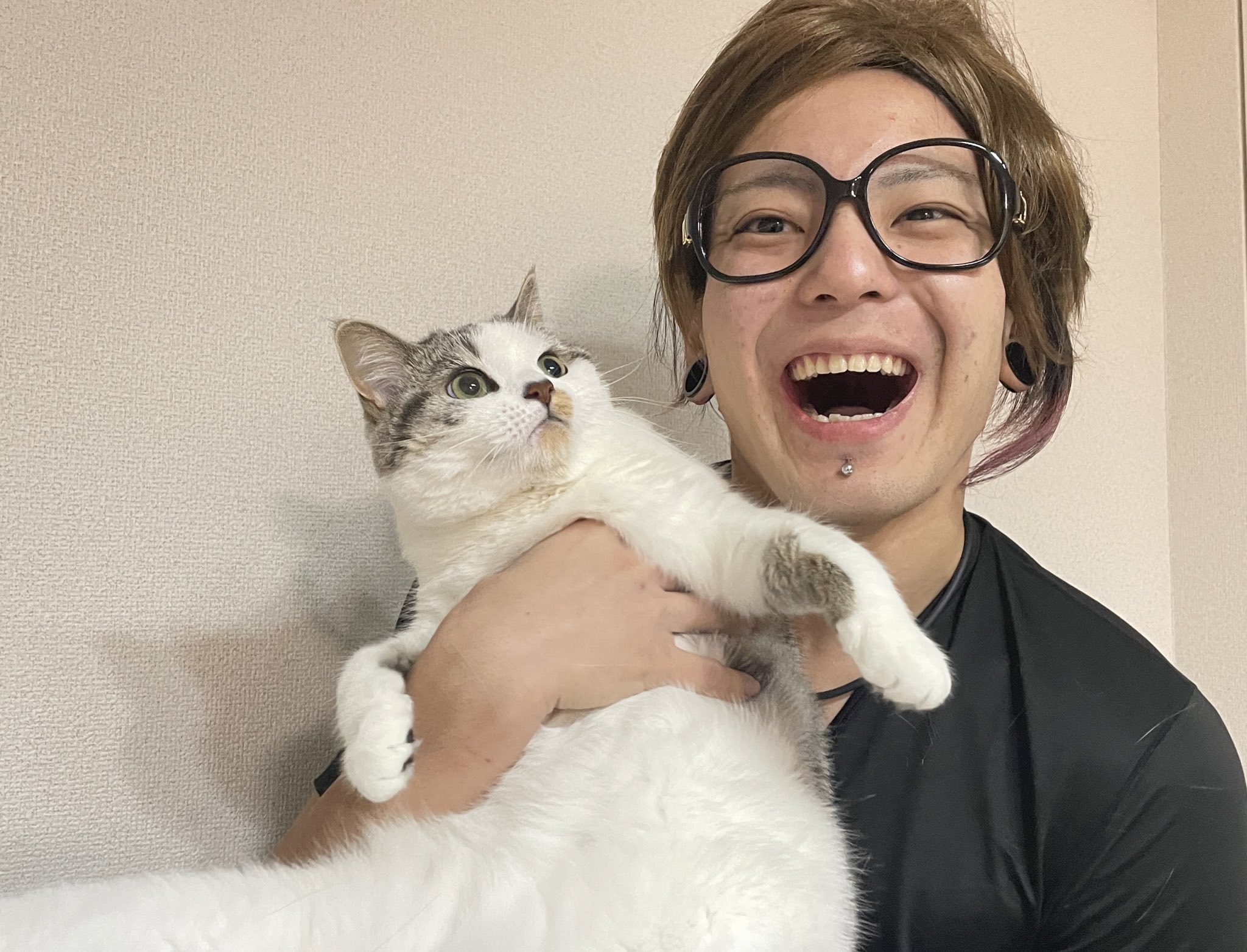 猫サンキュー ( 夕闇に誘いし漆黒の天使達 )