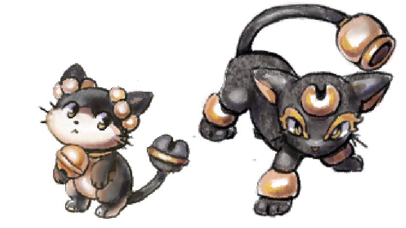 Pokemon belgua the cat
