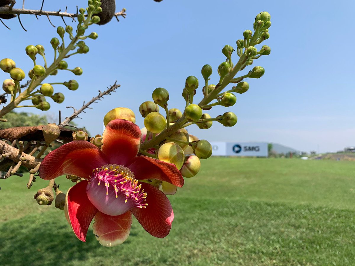 Siddikur Rahman tweet media