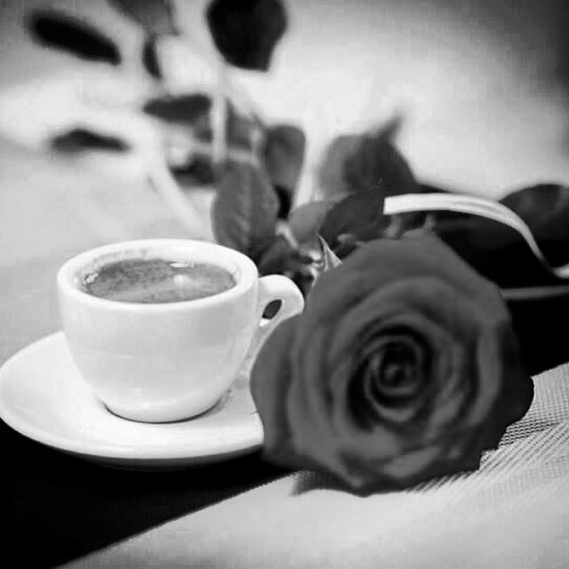 رحلت بصمتي الهادي اجازي قلبك الخوانّ
رحلت بعزتي وادري شعور ألعز يكفيني