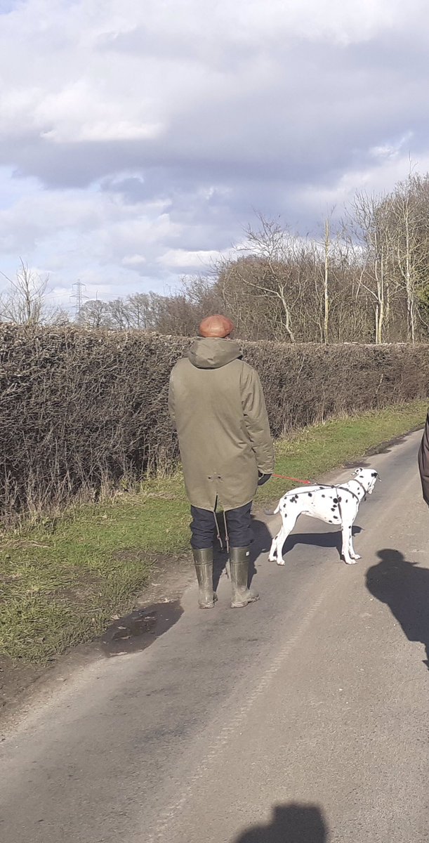 yeoldealbion's tweet photo. National Walking the Dog Day so the radio tells us - who knew that was a thing?! An enjoyable walk had by all⦠#dogwalking #onemanandhisdog #dottydog https://t.co/l4gL7jm8Na