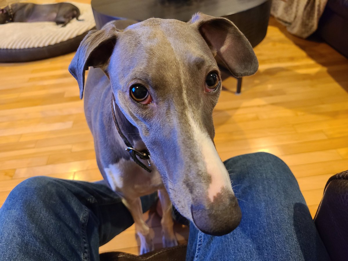 Gil Cote tweet media