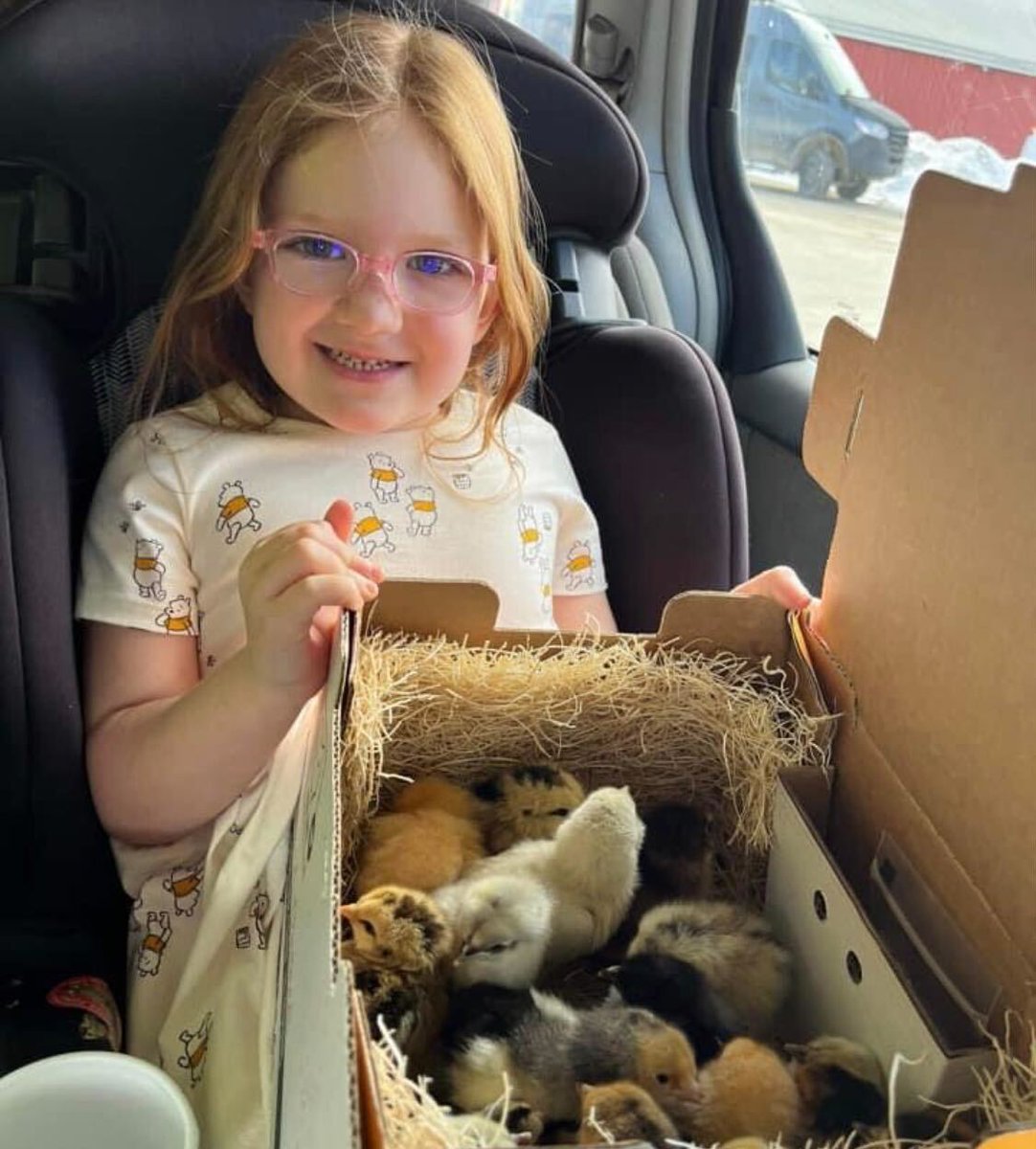 MeyerHatchery's tweet photo. Happy Hatch Day!! Who has chicks coming this week?
🐥 Order today by 3pm to receive your chicks from today's hatch!
📸: David & Beth Hodges (new chick...
#reshare #beyondadorable #hatchday #dayoldchicks #chicks #backyardchickens #petchickens #urbanchickens #chickensofinstagram https://t.co/H4Oh7V1qg3