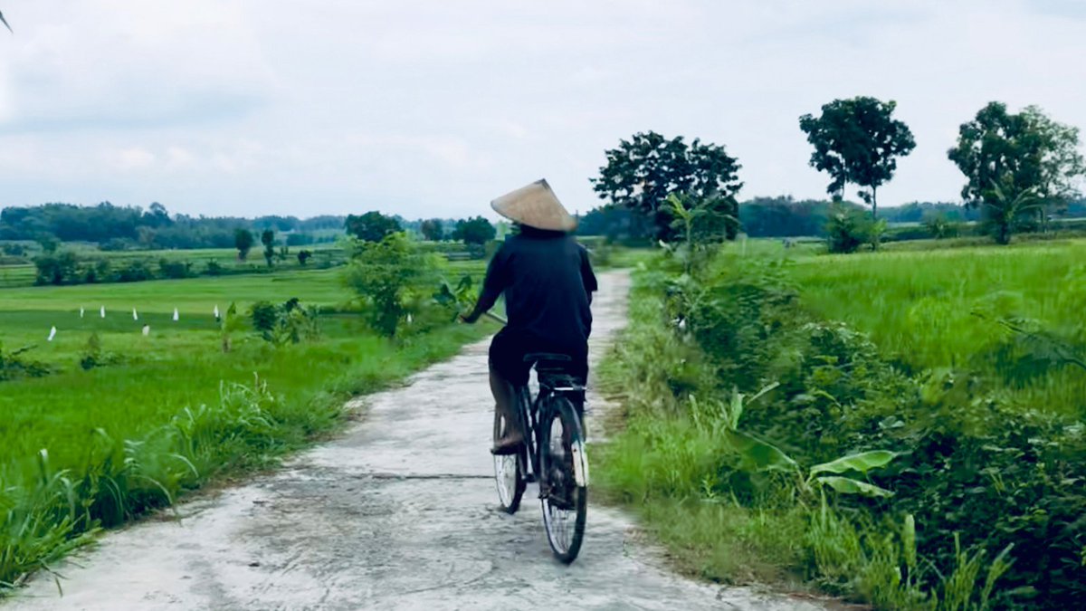 School of Media, Arts and Humanities tweet media