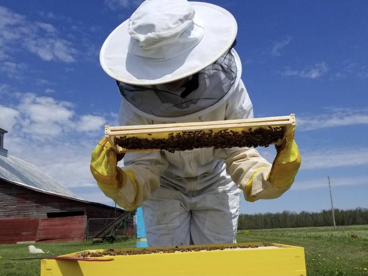 CroneAlexis's tweet photo. Day 2: National FFA Week/Favorite SAE or CDE 💙💛 My SAE project is Beekeeping 🐝💛💙 https://t.co/dcVNXuJuYK