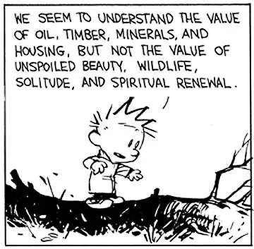 🙁🙁 What do you think? #CalvinandHobbes