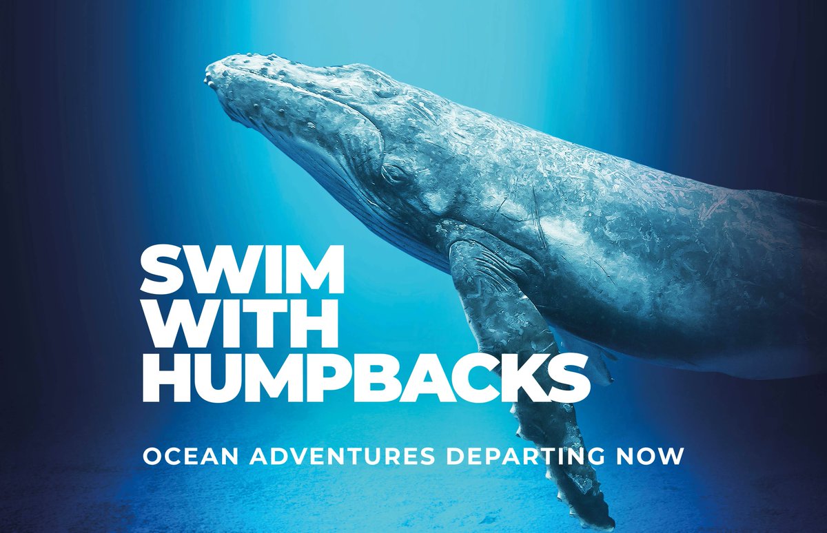 ImmotionVR tweet media