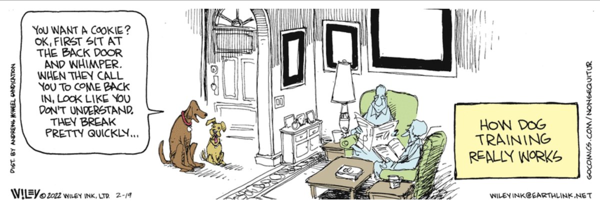 Simon Perez (@simonperez1) on Twitter photo 