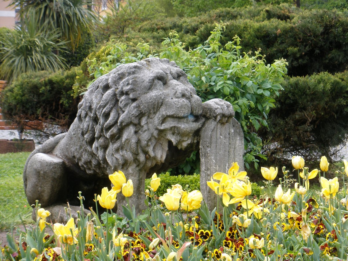 JCFXII's tweet image. background noise