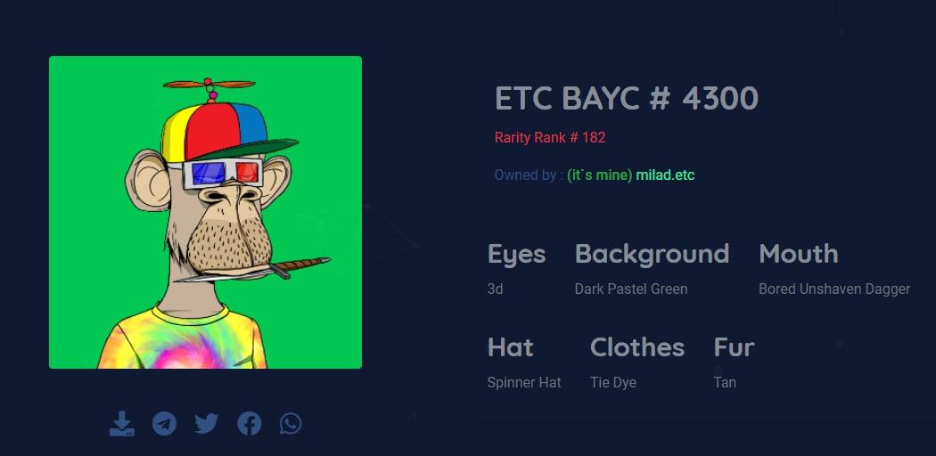 zarvan_anvari tweet media