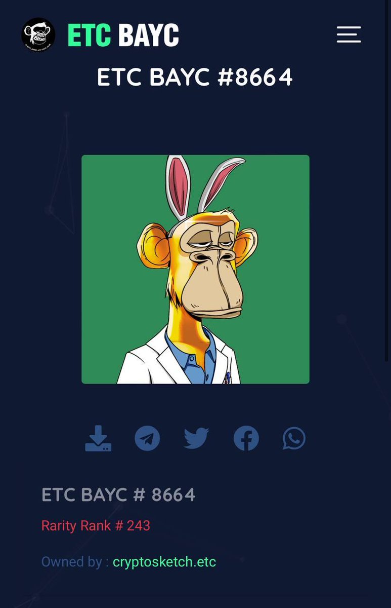 zarvan_anvari tweet media