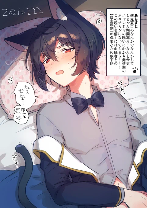 これは去年のねこ 