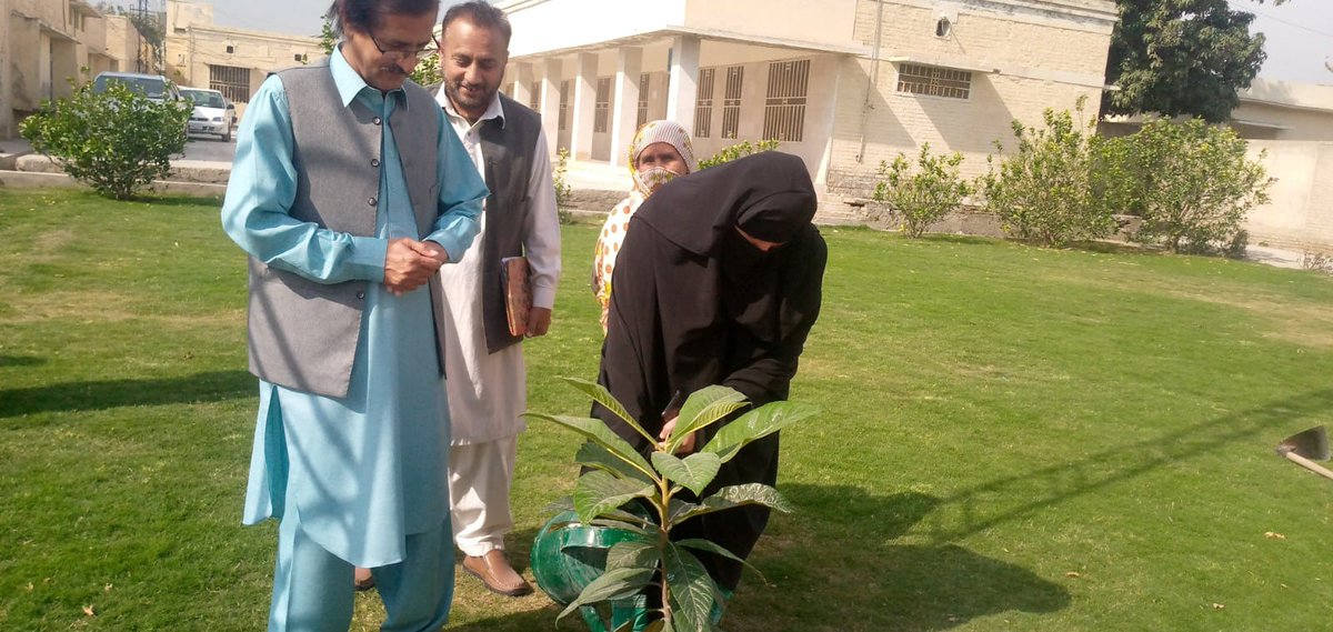 FEWDKPGovt's tweet image. #PlantForPakistan event celebrated on 22 Feburary at THQ Hospital Paharpur by Female staff of CDEGAD in DI Khan Forest Dvn. Tehsil Mayyer ,Makhdoom zada was the Chief Guest of the event and  50 nos of plants were planted and 100 No of were distributed.
#KPForest
#SpringPlantation