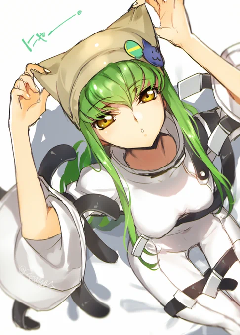 猫の日 