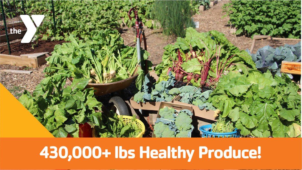 NCYMCAAlliance's tweet photo. In 2021, NC YMCAs nourished community with more than 430,000 lbs of healthy, fresh produce—from Y gardens and farms, local partnerships and generous donations. #FoodInsecurity #SocialResponsibility https://t.co/ueI8GdAvYB https://t.co/ghCAaoZXHR