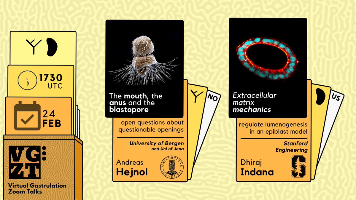 Virtual Gastrulation Zoom Talks tweet media