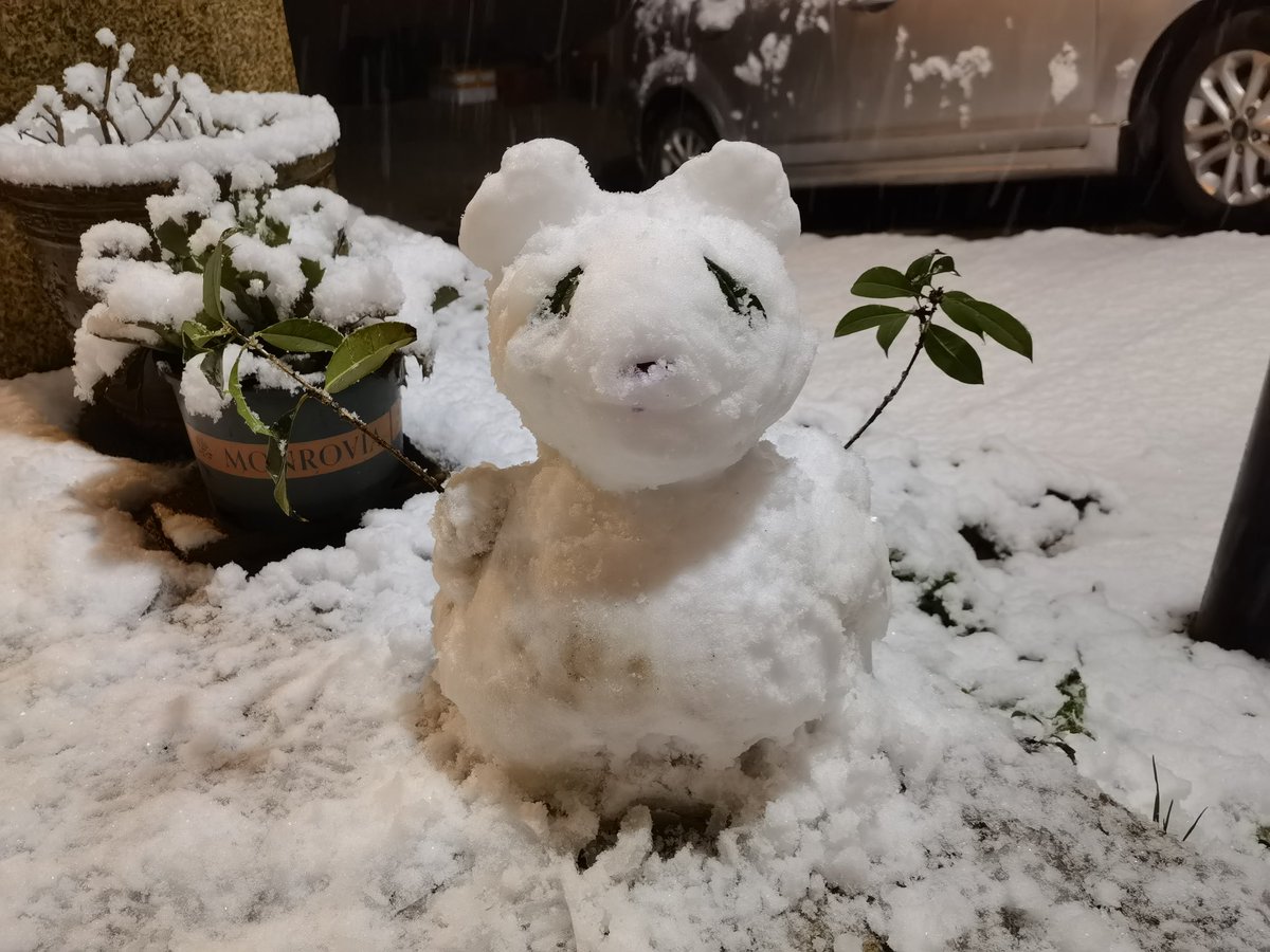 Re1ne99's tweet photo. ❄️ https://t.co/2qMiiWbmpR