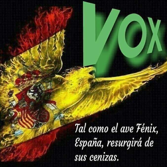 PERLA35444580's tweet photo. @Santi_ABASCAL Nada nuevo siempre inventando  ,ya sabemos del pie que cojean , estaré siempre apoyando a VOX 💪💪💚 https://t.co/oBJ99xT0fv