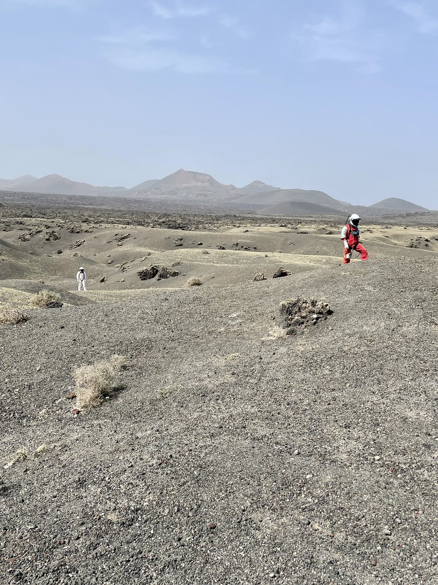 josferlo's tweet photo. Que mi isla es de otro planeta… no hace falta que os lo recuerde… pero lo que me he encontrado hoy dando un paseo es… Too Much. #LifeInMars #LifeInLanzarote https://t.co/sgbnVWZ3au