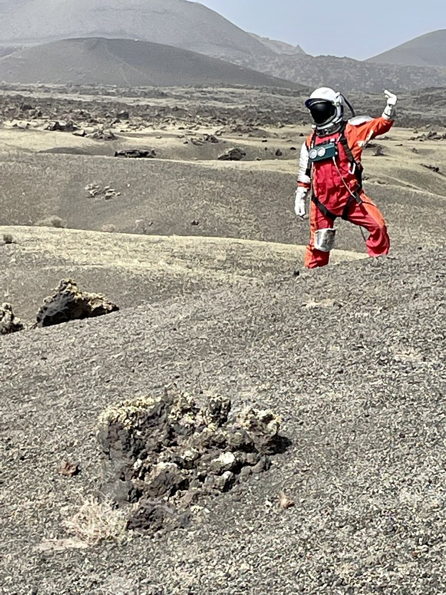 josferlo's tweet photo. Que mi isla es de otro planeta… no hace falta que os lo recuerde… pero lo que me he encontrado hoy dando un paseo es… Too Much. #LifeInMars #LifeInLanzarote https://t.co/sgbnVWZ3au