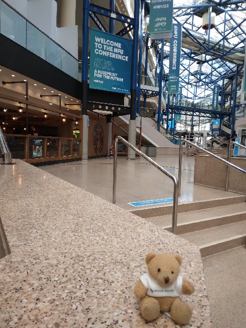 lanyonbowdler's tweet photo. Good to be at the NFU Annual Conference - #LBBear is taking in the atmosphere #NFU22 https://t.co/4hRIjdJxrl