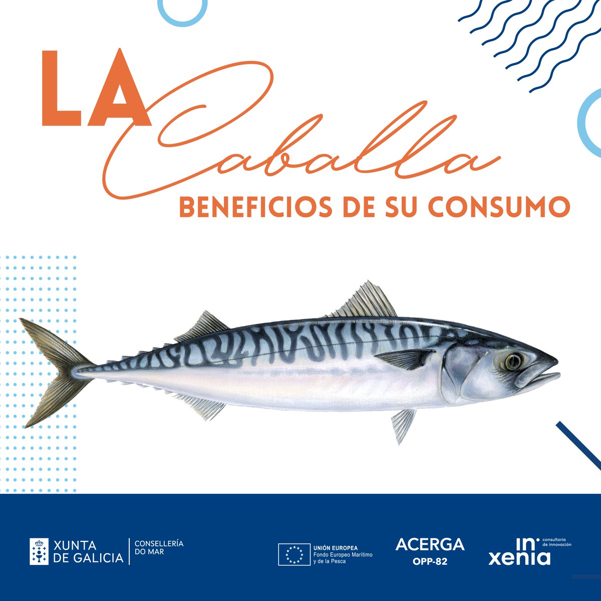 ACERGA_OPP82's tweet photo. Con el arranque de la campaña de la #caballa, os animamos a conocer los #beneficios de su consumo, siendo uno de los #pescadosazules más ricos en #omega3
#yocomopescado #sostenible https://t.co/OSNEruA7QX