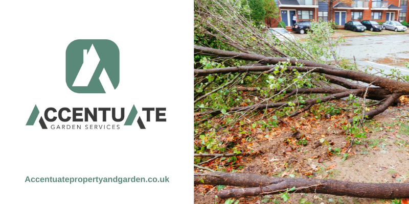 thatguyricht's tweet photo. Lots of trees and branches suffered in the recent storms. If your garden is in need of tidying up from the high winds then just get in touch.
#stormdamage #fallenbranches #gardenmaintenance https://t.co/nAZAJlrQsm
