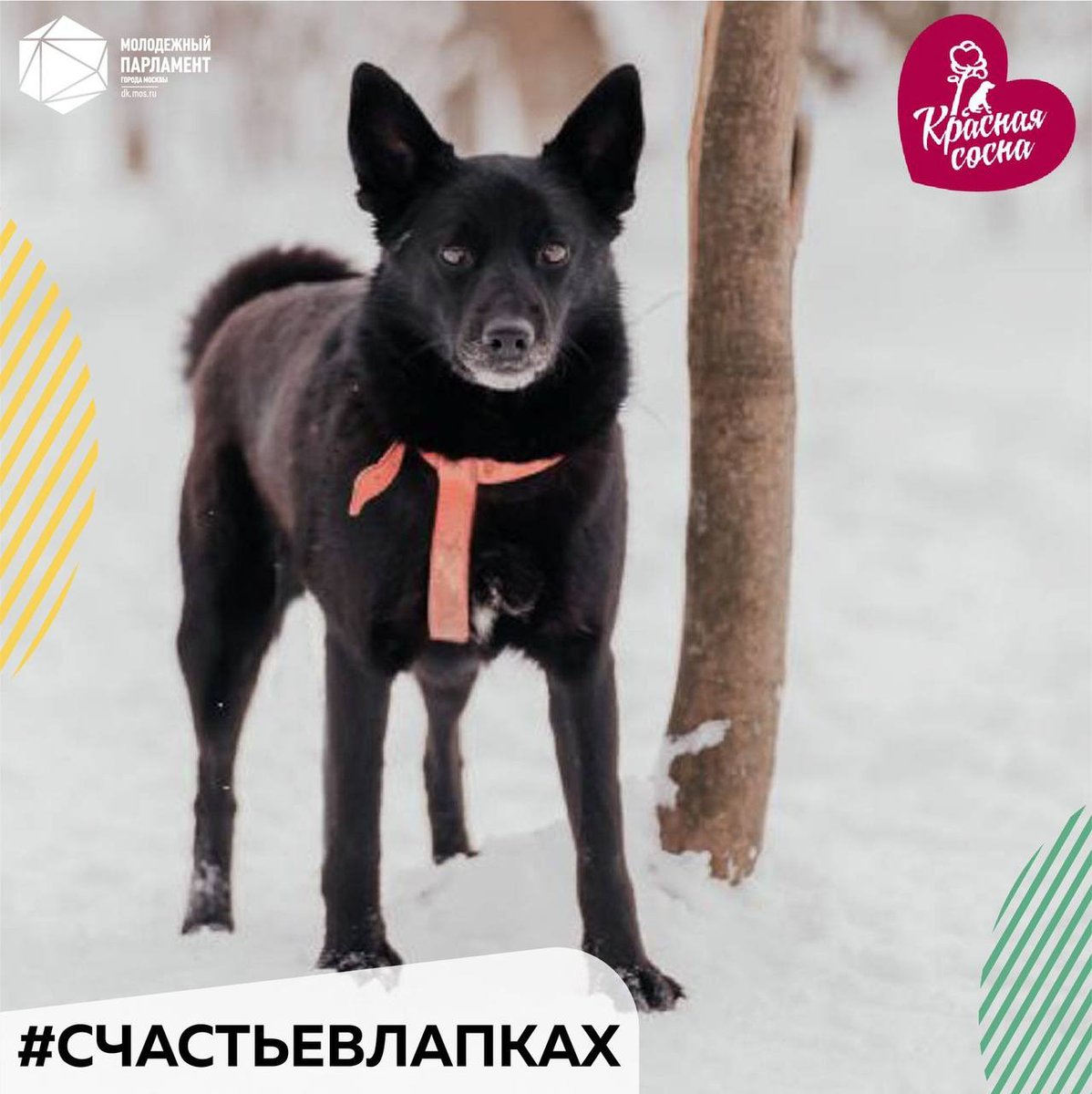 Породин Николай tweet media