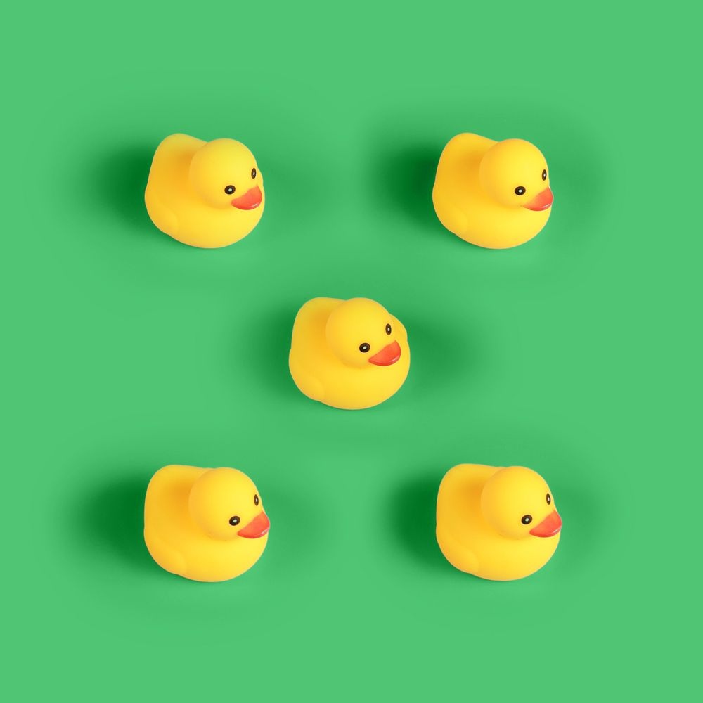 Happy 5 Little Ducks day 😀 22/2/22! Quack quack! 🦆 

#creative #fun #designagency #yourcreativepartner #twosday #tuesdayvibes #22022022 #happytwosday #tuesday #twosdaytuesday #design #digital #graphicdesign #surrey