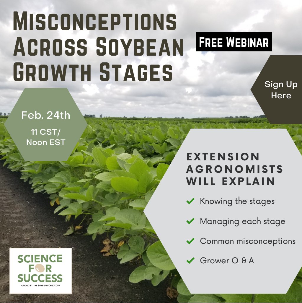 We hope to see YOU over lunch on Thursday for the #ScienceforSuccess webinar on Misconceptions Across Soybean Growth Stages. Register here: docs.google.com/forms/d/e/1FAI… @badgerbean @sethnaeve @StepUpSoy @KentuckyCrops @arksoydoc @MPlumblee @marklicht @VirginiaSoybean @KYGrains