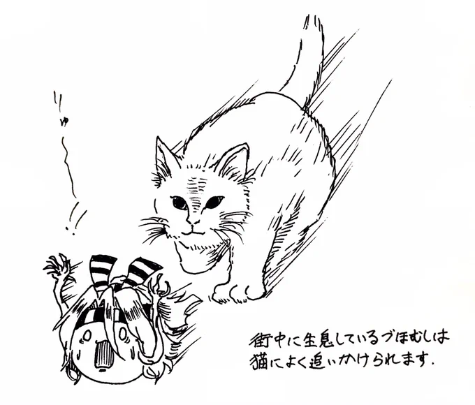 これもありましたね。 