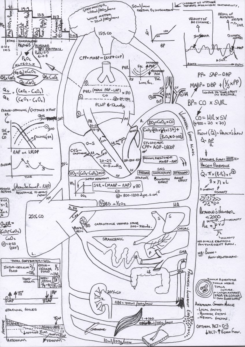 Richard Cashmore tweet media
